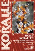 Hornkorallen im Meerwasseraquarium (eBook, ePUB)