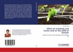 Effect of mulching and humic acid on the yield of tomato