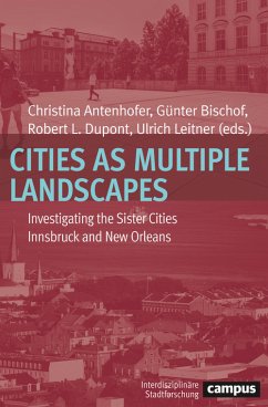 Cities as Multiple Landscapes (eBook, ePUB)