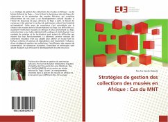 Stratégies de gestion des collections des musées en Afrique : Cas du MNT - Sanda-Nabede, Paa-Ani