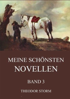 Meine schönsten Novellen, Band 3 - Storm, Theodor