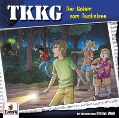 Der Golem vom Dunkelsee / TKKG Bd.198 (1 Audio-CD)