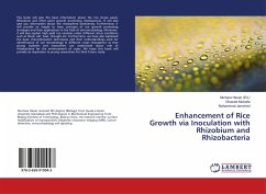Enhancement of Rice Growth via Inoculation with Rhizobium and Rhizobacteria