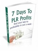 7 Days to PLR Profits (eBook, PDF)