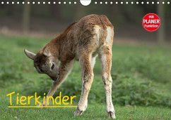 Tierkinder (Wandkalender 2017 DIN A4 quer) - Klatt, Arno