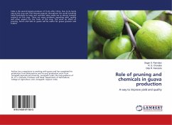 Role of pruning and chemicals in guava production - Ramdasi, Sagar S.;Chovatia, R. S.;Kanzaria, Dilip R.