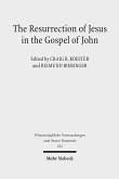 The Resurrection of Jesus in the Gospel of John (eBook, PDF)
