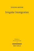 Irregular Immigration (eBook, PDF)