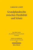 Grundpfandrechte zwischen Flexibilität und Schutz (eBook, PDF)