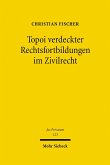 Topoi verdeckter Rechtsfortbildungen im Zivilrecht (eBook, PDF)