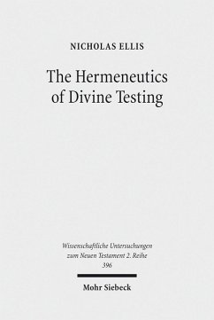 Cover The Hermeneutics of Divine Testing (eBook, PDF)