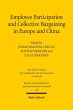 Employee Participation and Collective... - Bild 1