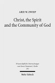 Christ, the Spirit and the Community of God (eBook, PDF)