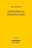 Geldschulden im Öffentlichen Recht (eBook, PDF)