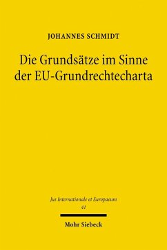 Die Grundsätze im Sinne der EU-Grundrechtecharta (eBook, PDF) - Schmidt, Johannes