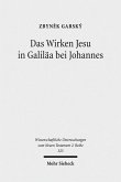 Das Wirken Jesu in Galiläa bei Johannes (eBook, PDF)