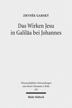 Das Wirken Jesu in Galiläa bei Johannes (eBook, PDF) - Garský, Zbyn?k