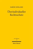 Überindividueller Rechtsschutz (eBook, PDF)