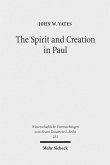 The Spirit and Creation in Paul (eBook, PDF)