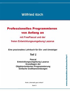 Professionelles Programmieren von Anfang an - Koch, Wilfried
