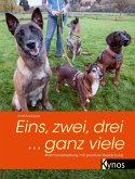 Eins, zwei, drei ... ganz viele (eBook, PDF)