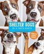 Shelter Dogs in a Photo Booth (eBook,... - Bild 1