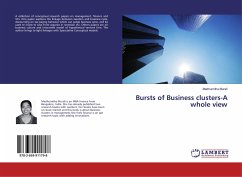 Bursts of Business clusters-A whole view