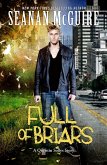 Full of Briars (eBook, ePUB)