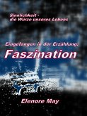 Faszination (eBook, ePUB)