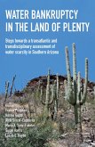 Water Bankruptcy in the Land of Plenty (eBook, PDF)