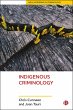 Indigenous Criminology (eBook, ePUB) - Bild 1