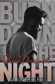 Burn Down the Night (eBook, ePUB)