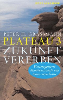 Plateau 3 Zukunft vererben: Werteregulierte Marktwirtschaft und Bürgerdemokratie (eBook, ePUB) - Grassmann, Peter