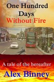 One Hundred Days Without Fire (eBook, ePUB)