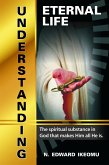 Understanding Eternal Life (eBook, ePUB)