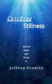 Catching Stillness (eBook, ePUB)