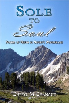 Cover Sole to Soul (eBook, ePUB)