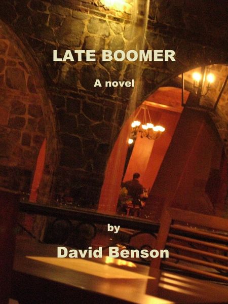 Late Boomer (eBook, ePUB)