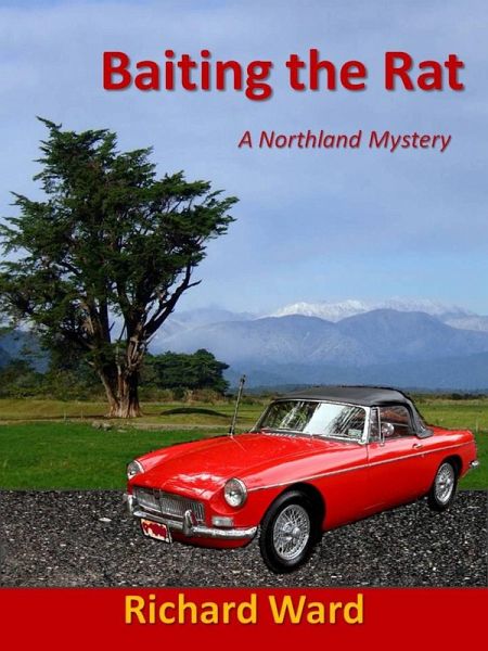 Baiting the Rat (eBook, ePUB)