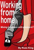 Working from home: Mixing business with pleasure? (eBook, ePUB)