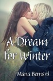 Dream for Winter (eBook, ePUB)