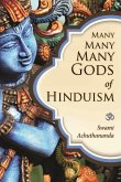 Many Many Many Gods of Hinduism (eBook, ePUB)