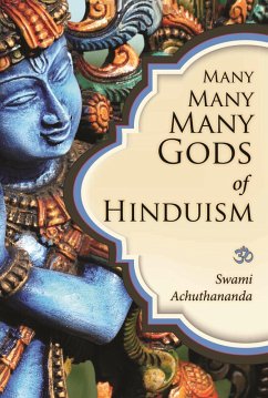 Cover Many Many Many Gods of Hinduism (eBook, ePUB)