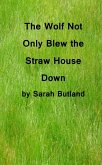 Wolf Not Only Blew the Straw House Down (eBook, ePUB)