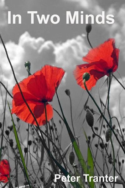 In Two Minds (eBook, ePUB)