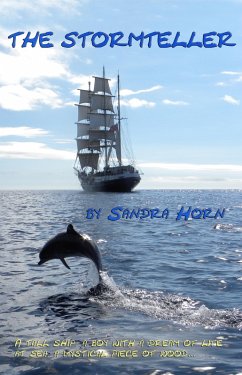 Cover Stormteller (eBook, ePUB)