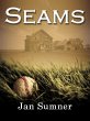 Seams (eBook, ePUB) - Bild 1