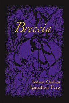 Breccia (eBook, ePUB) - Golas, Irene