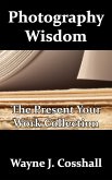 Photography Wisdom: The Present Your Work Collection (eBook, ePUB)