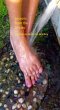 Lessons of the Ankle (eBook, ePUB) - Bild 1